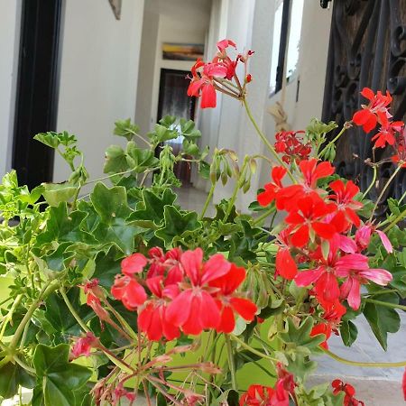 Il Casale Di Zi'Leo Bed & Breakfast Campomarino  Exterior foto