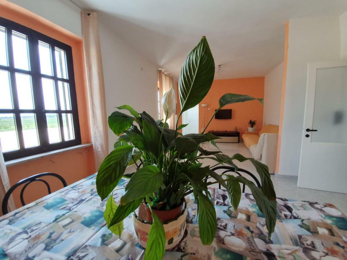 Il Casale Di Zi'Leo Bed & Breakfast Campomarino  Exterior foto